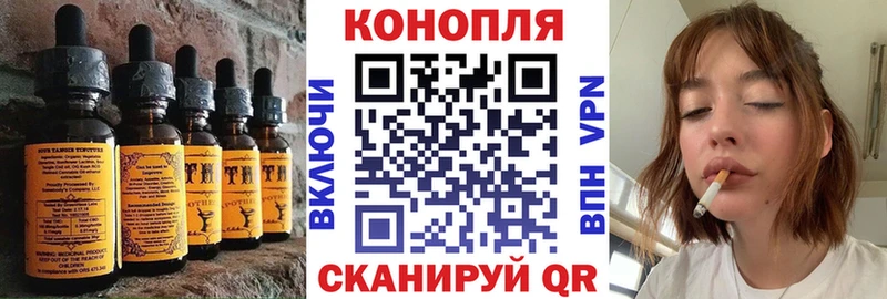 Купить где  Лакинск  Cannafood конопля 