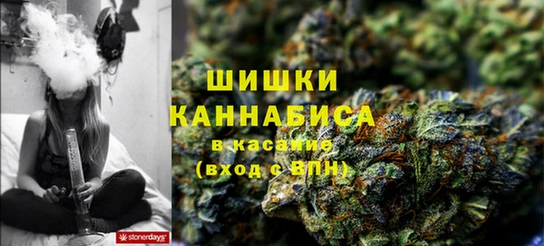 соль ск Надым